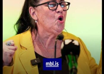 LÝÐVELDIÐ ÍSLAND AFHENT BRUSSEL