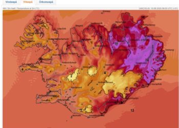 Allt að 28 stiga hiti