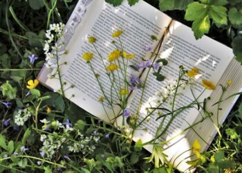 Samkeppniseftirlitið hefur rannsókn á Storytel