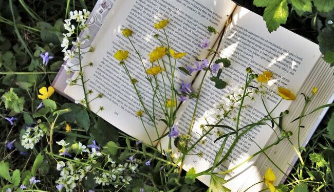 Samkeppniseftirlitið hefur rannsókn á Storytel