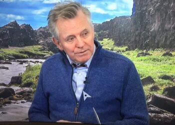 Pólitískur rógur Evrópusinna tók flug sem váfugl árið 2019