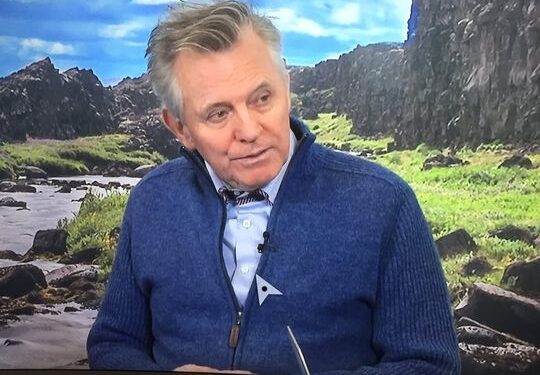 Pólitískur rógur Evrópusinna tók flug sem váfugl árið 2019