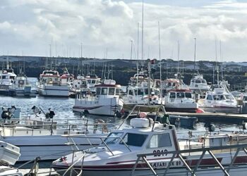 Strandveiðibátar fái tíu daga að auki á næsta fiskveiðiári