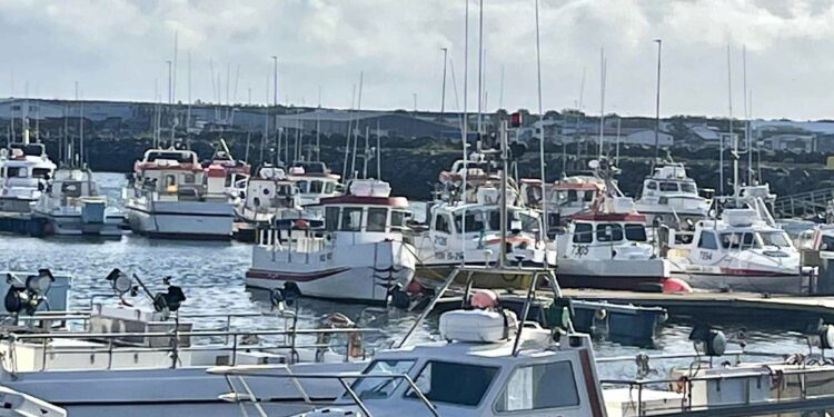 Strandveiðibátar fái tíu daga að auki á næsta fiskveiðiári