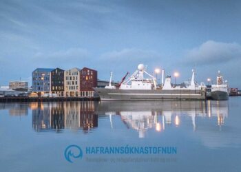 „Talið er að hámarksafrakstur þorskstofnsins sé nær 500 þús tonn á ári”