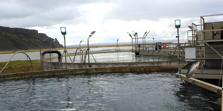 Landeldi: Stækkun Silfurstjörnunnar stórt framfaraskref í atvinnumálum Öxarfjarðar