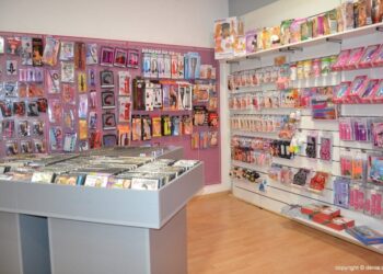 Kærður fyrir hnupl í kynlífstækjaverslun