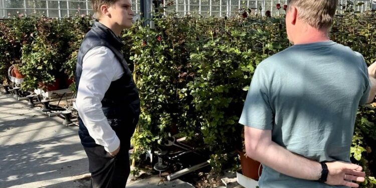 Tæknivæðing gróðurhúsa heldur áfram: 118 milljónum úthlutað