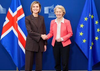 Vinnufundur forsætisráðherra og forseta framkvæmdastjórnar ESB